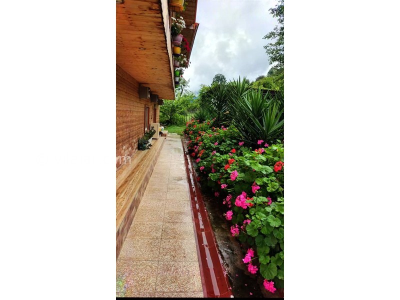 عکس شماره 881878 - اجاره اقامتگاه چوبی جنگلی ماسال - 