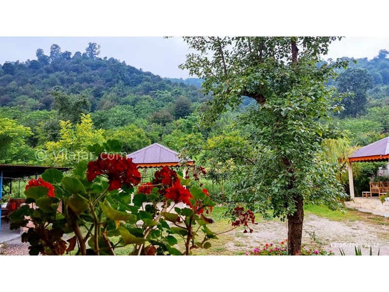 عکس شماره 881889 - اجاره اقامتگاه چوبی جنگلی ماسال - 