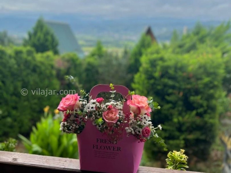 عکس شماره 882889 - اجاره کلبه چوبی الیزه در شیرگاه - 