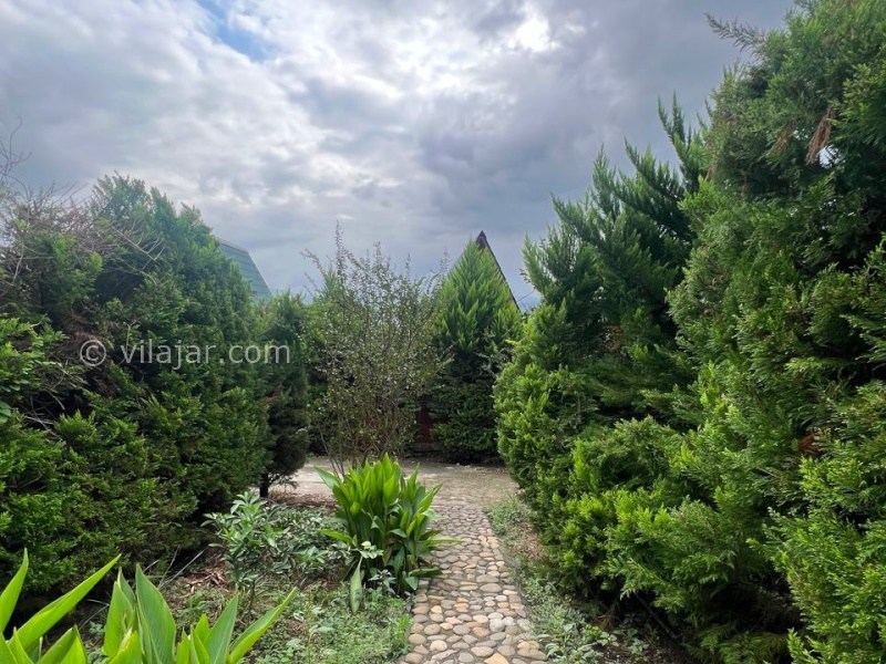 عکس شماره 882891 - اجاره کلبه چوبی الیزه در شیرگاه - 