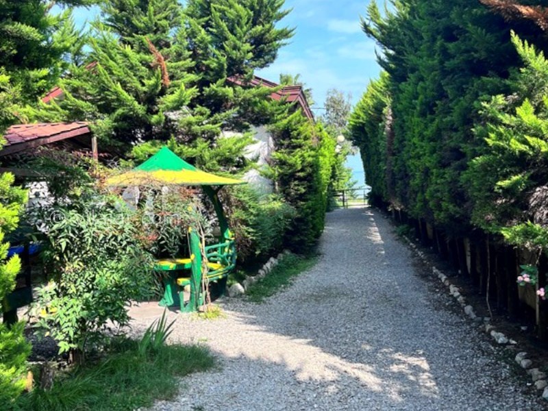 عکس شماره 883333 - اجاره ویلا جنگلی در نوشهر مزگاه - 