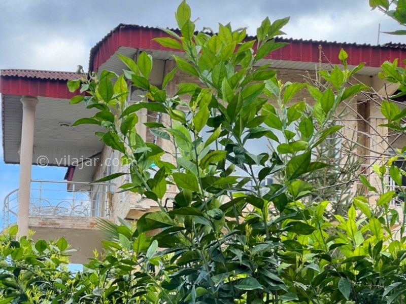 عکس شماره 885831 - اجاره ویلای استخردار تریپلکس رامسر - 