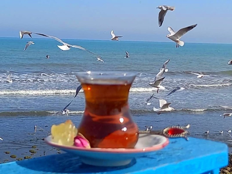 عکس شماره 888008 - اجاره کلبه لوکس ساحلی نوشهر - 
