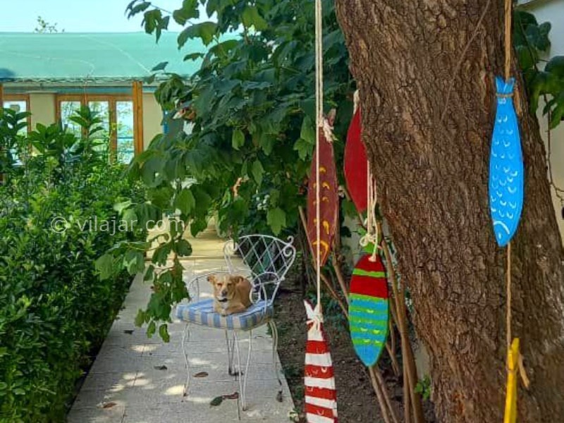 عکس شماره 888009 - اجاره کلبه لوکس ساحلی نوشهر - 