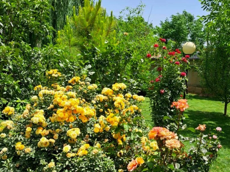 عکس شماره 888264 - ویلا با استخر سرپوشیده نزدیک تهران - 