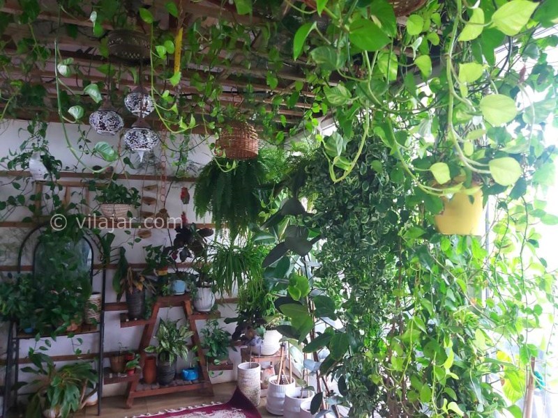 عکس شماره 888683 - اجاره ویلا در چمخاله - 