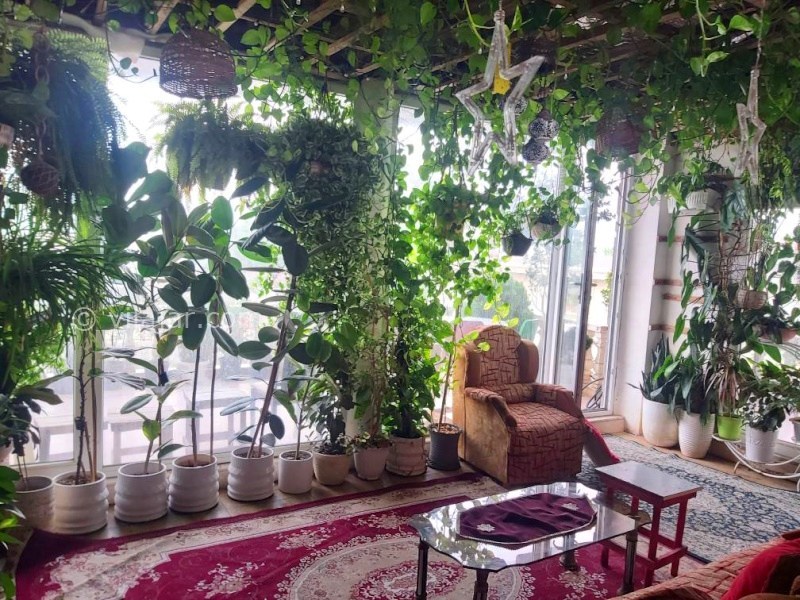 عکس شماره 888685 - اجاره ویلا در چمخاله - 