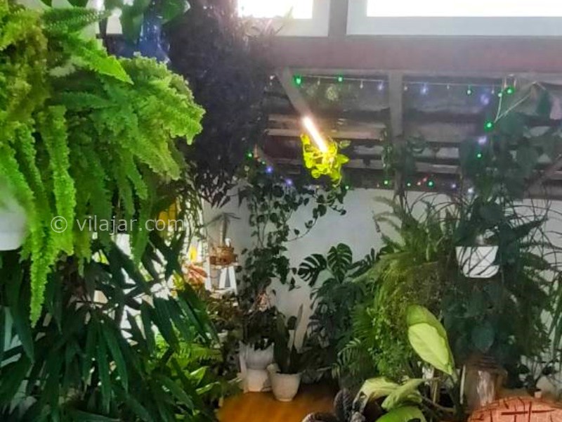 عکس شماره 888699 - اجاره ویلا در چمخاله - 