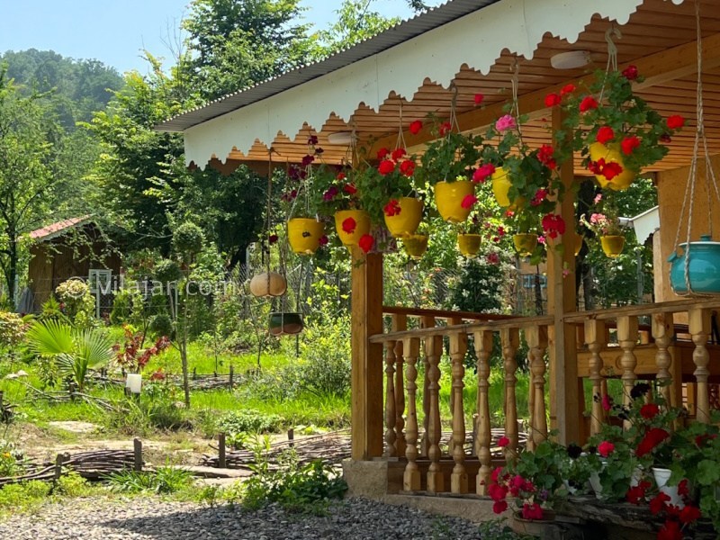 عکس شماره 889047 - اجاره ویلا جنگلی در ماسال - 
