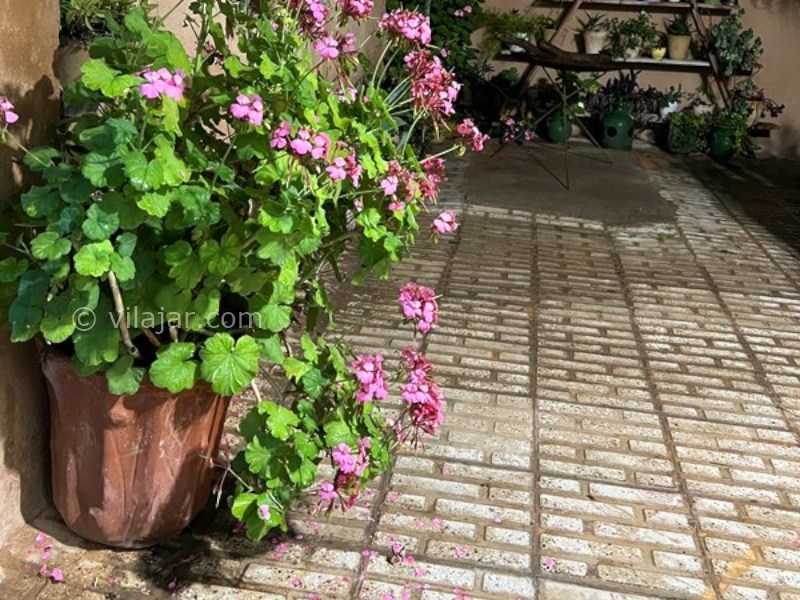 عکس شماره 890035 - اقامتگاه بومگردی در شیراز - 