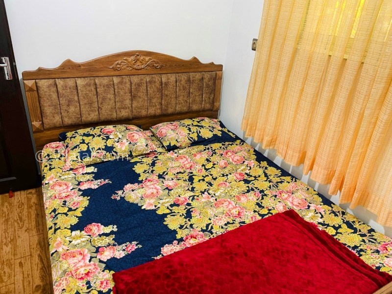 عکس شماره 890136 - اجاره ویلا ماسال در دل جنگل - 