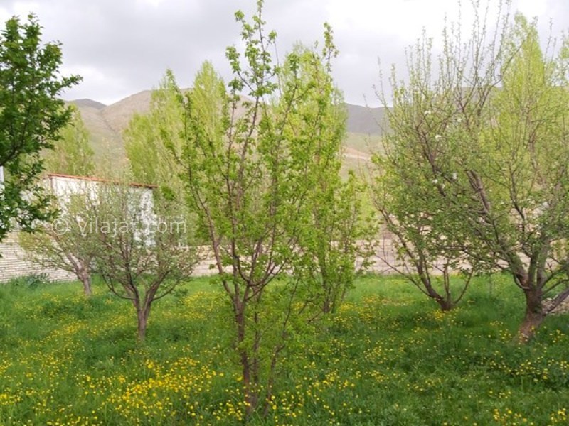 عکس شماره 890154 - اجاره اقامتگاه در تکاب روستای قینرجه - 