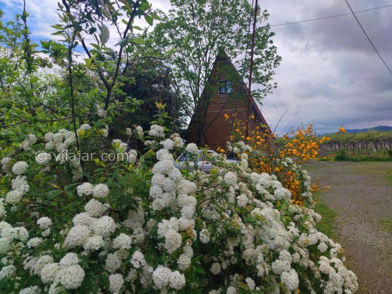 عکس شماره 890454 - اجاره کلبه سوییسی در تالش - 