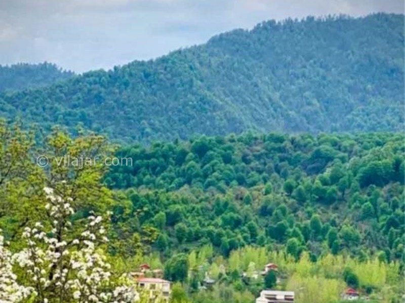 عکس شماره 891083 - اجاره ویلا جنگلی در ماکلوان - 