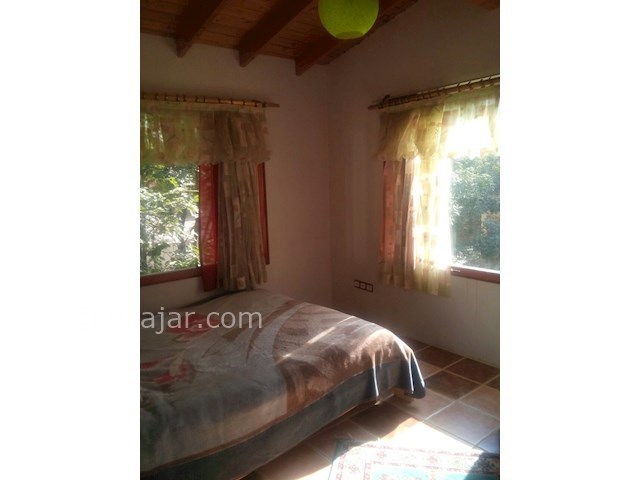 عکس شماره 89135 - اجاره ویلا جنگلی در کلاردشت - 