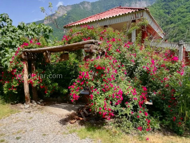 عکس شماره 891684 - ویلا جنگلی با جکوزی در جاده دوهزار - 