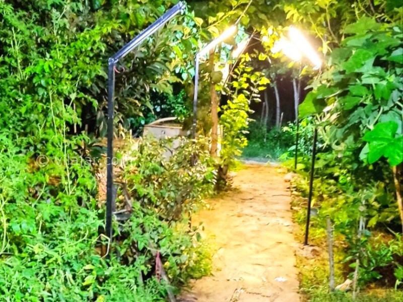 عکس شماره 892493 - اجاره ویلا جنگلی در رودسر - 