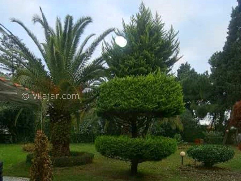 عکس شماره 893336 - اجاره ویلا در شهرک خزر شهر شمالی - 
