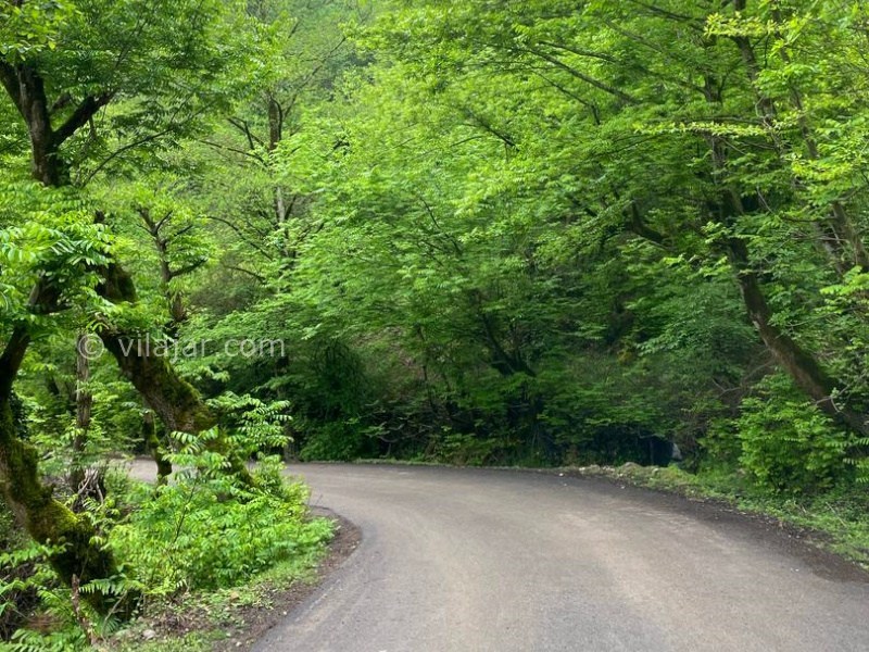 عکس شماره 895845 - اجاره ویلا چوبی در ماسال - 
