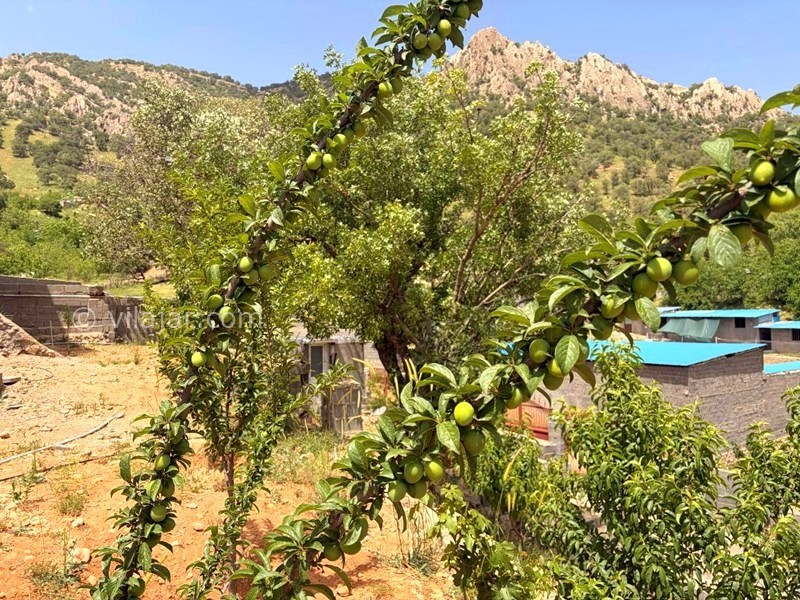 عکس شماره 897611 - اجاره اقامتگاه در یاسوج خرم ناز - 