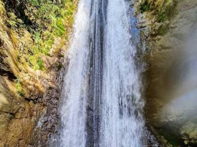 عکس شماره 902113 - اجاره ویلا ییلاقی در تالش - 