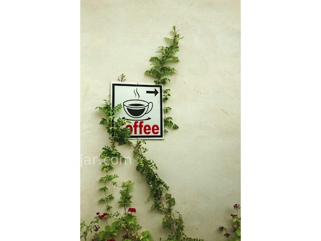 عکس شماره 90217 - اجاره واحد ساحلی در رامسر - 