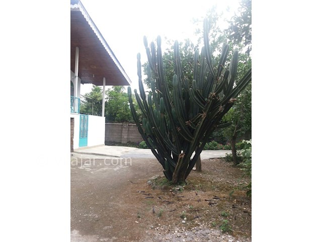 عکس شماره 90279 - اجاره ویلا دربست نزدیک رامسر - 