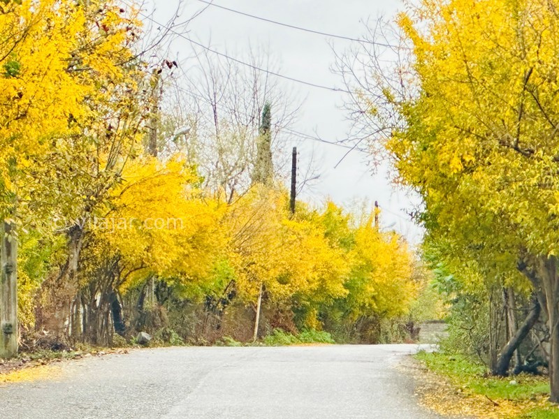 عکس شماره 903742 - اجاره کلبه چوبی در ماسال - 