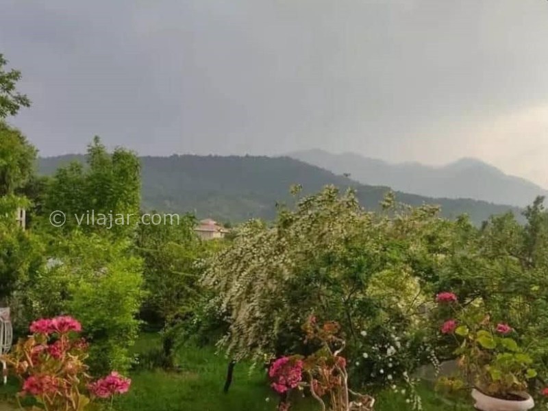 عکس شماره 904551 - ویلای اجاره ای در ماسال - 
