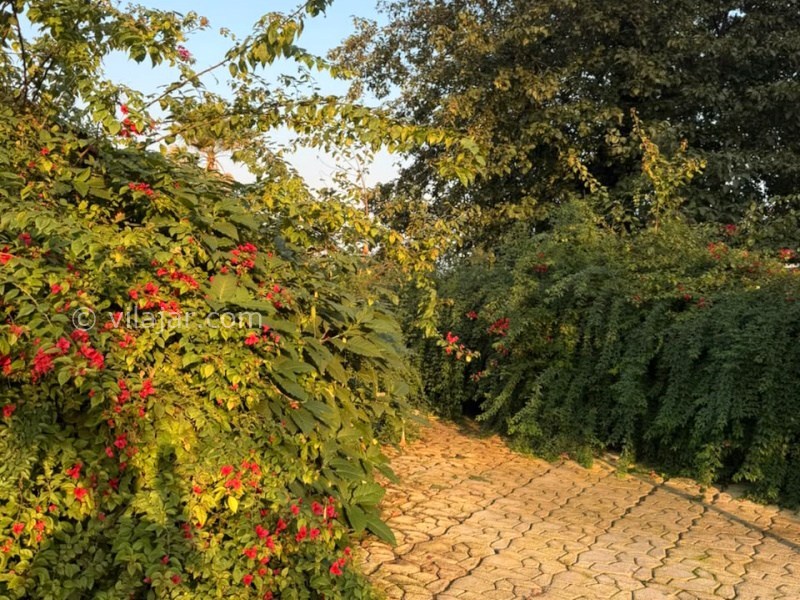 عکس شماره 904891 - اجاره ویلا کلارآباد لب دریا - 