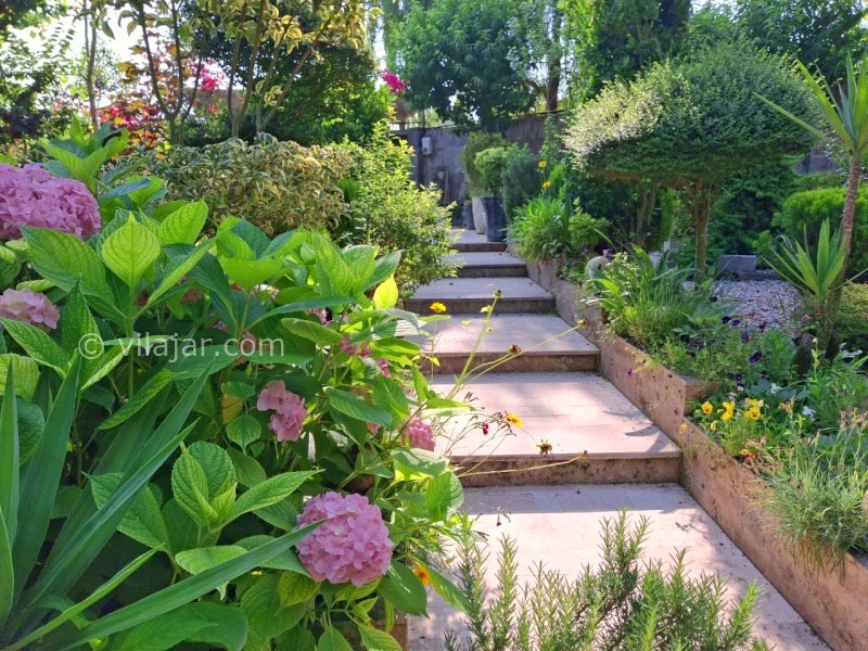 عکس شماره 905326 - اجاره ویلا جنگلی در بابل - 
