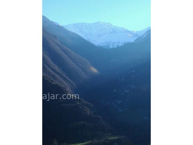 عکس شماره 90675 - ویلای جنگلی ارتفاعات دو هزار - 