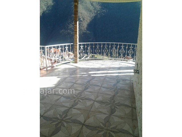 عکس شماره 90687 - ویلای جنگلی ارتفاعات دو هزار - 