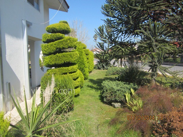 عکس شماره 9145 - اجاره ویلا شمال در دریاکنار - 