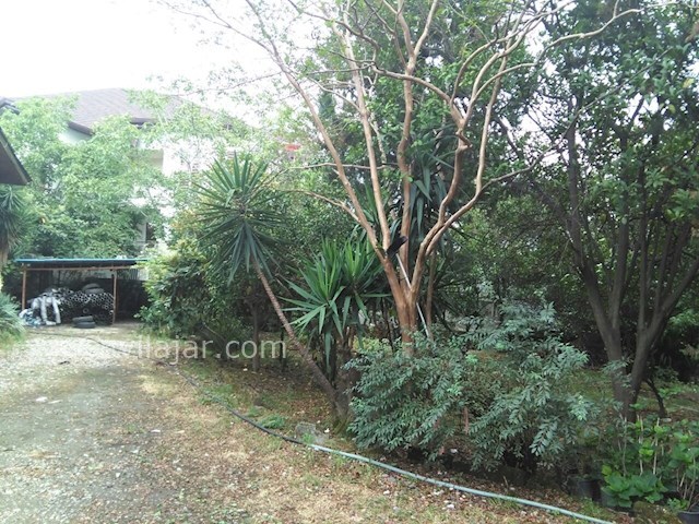 عکس شماره 95445 - اجاره ویلا ساحلی در شمال - 