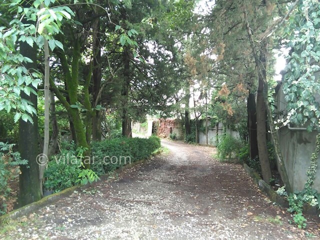 عکس شماره 95459 - اجاره ویلا ساحلی در شمال - 