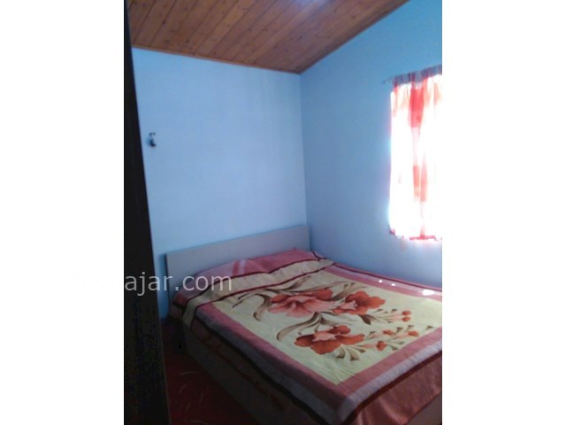 عکس شماره 95535 - ویلای اجاره ای دربست - 