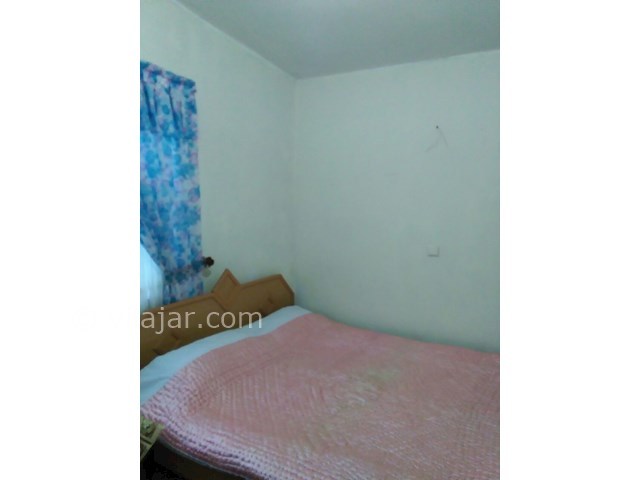 عکس شماره 95711 - اجاره ویلای حیاط دار جنگلی - 