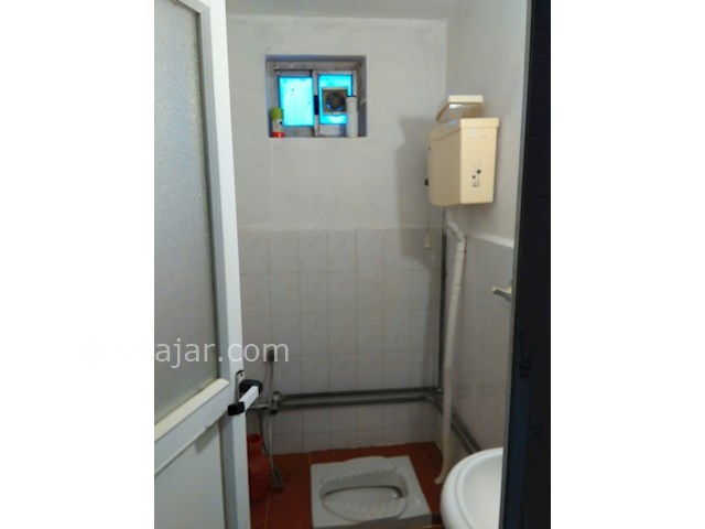 عکس شماره 95713 - اجاره ویلای حیاط دار جنگلی - 