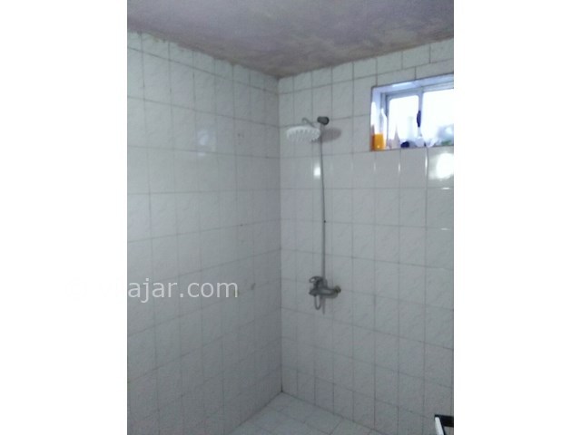 عکس شماره 95715 - اجاره ویلای حیاط دار جنگلی - 