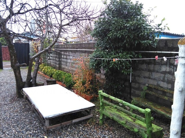 عکس شماره 95957 - اجاره ویلا ساحلی شمال - 