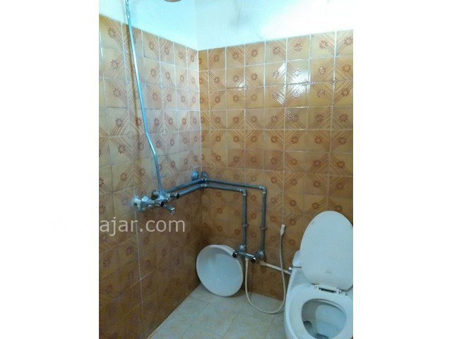 عکس شماره 96089 - اجاره ویلای دربست ساحلی - 