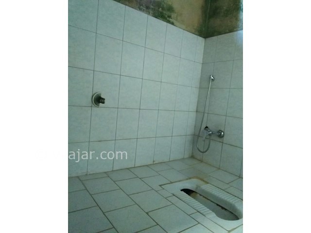 عکس شماره 96105 - اجاره ویلای دربست ساحلی - 