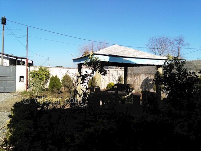 عکس شماره 96111 - اجاره ویلا دربست ساحلی - 