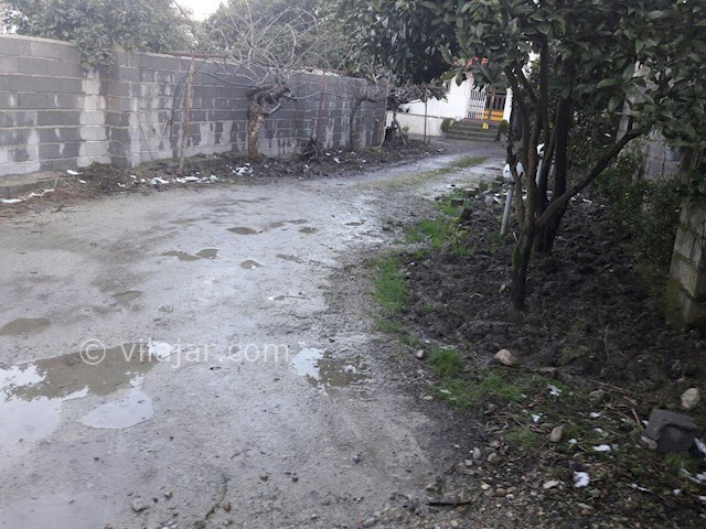 عکس شماره 96169 - اجاره ویلای دربست رامسر - 