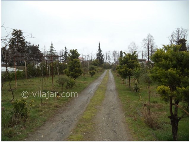 عکس شماره 9819 - ویلا ساحلی اختصاصی در رامسر - 