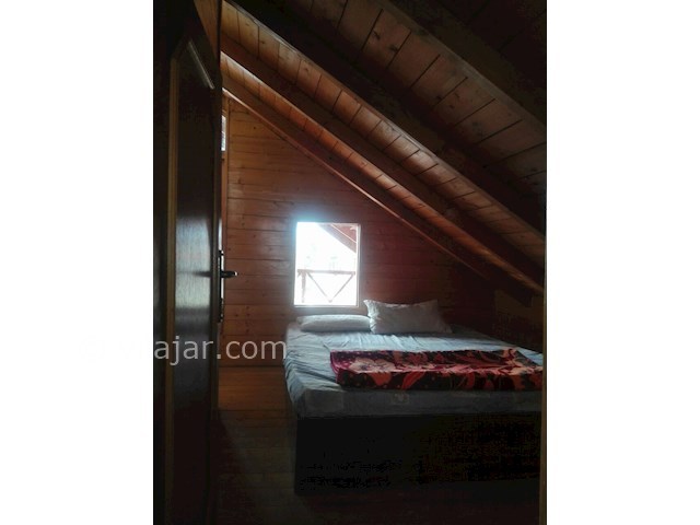 عکس شماره 98619 - اجاره کلبه چوبی نزدیک رامسر - 